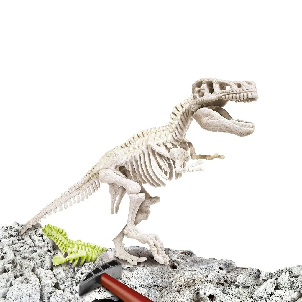 Miniatuur 1