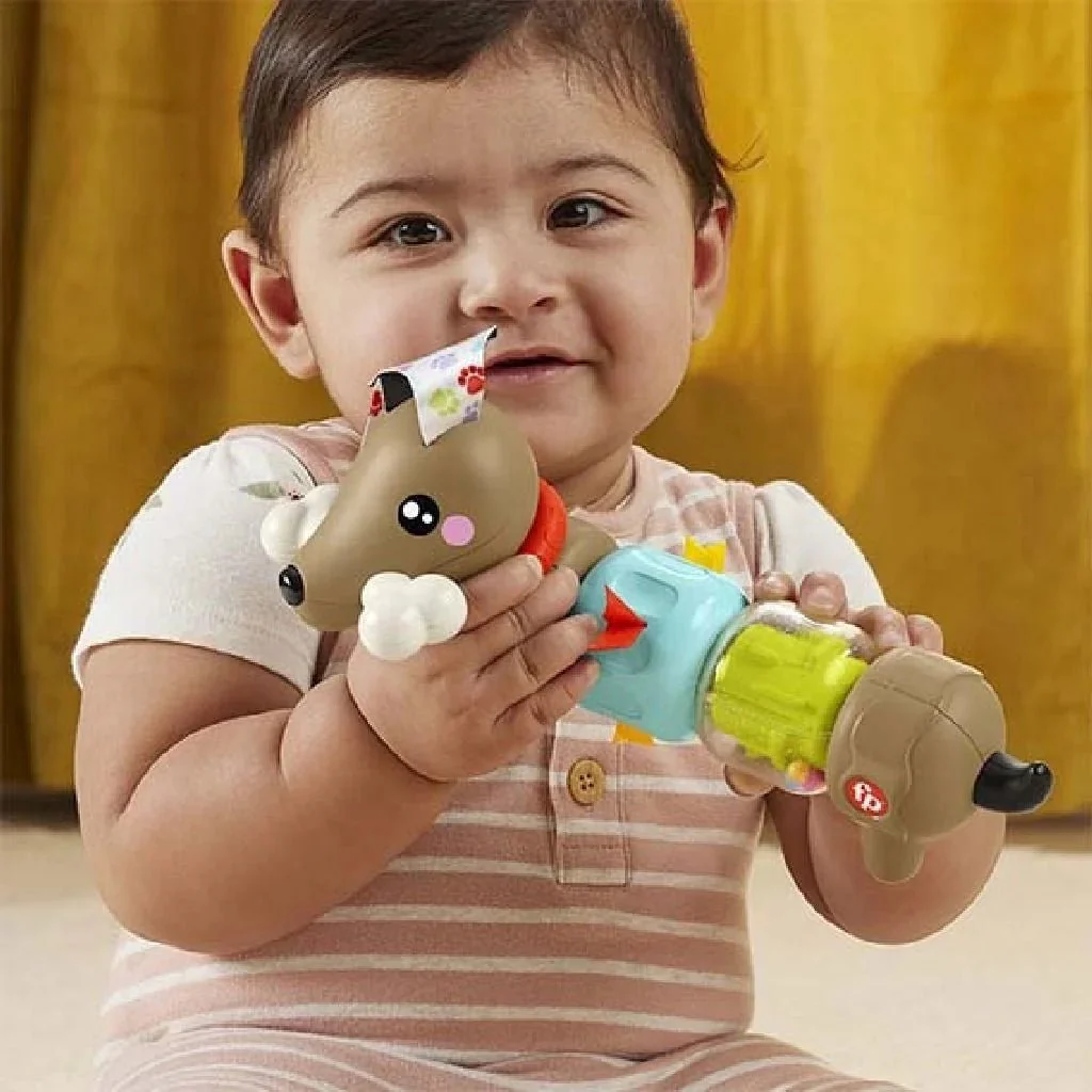 Fisher-Price Speelgoed Hond Sensorisch Met Geluid - Image 5