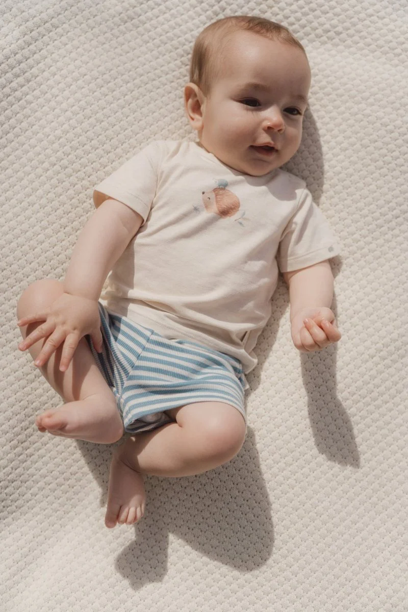 Korte broek blauw Stone Blue stripe - Image 6