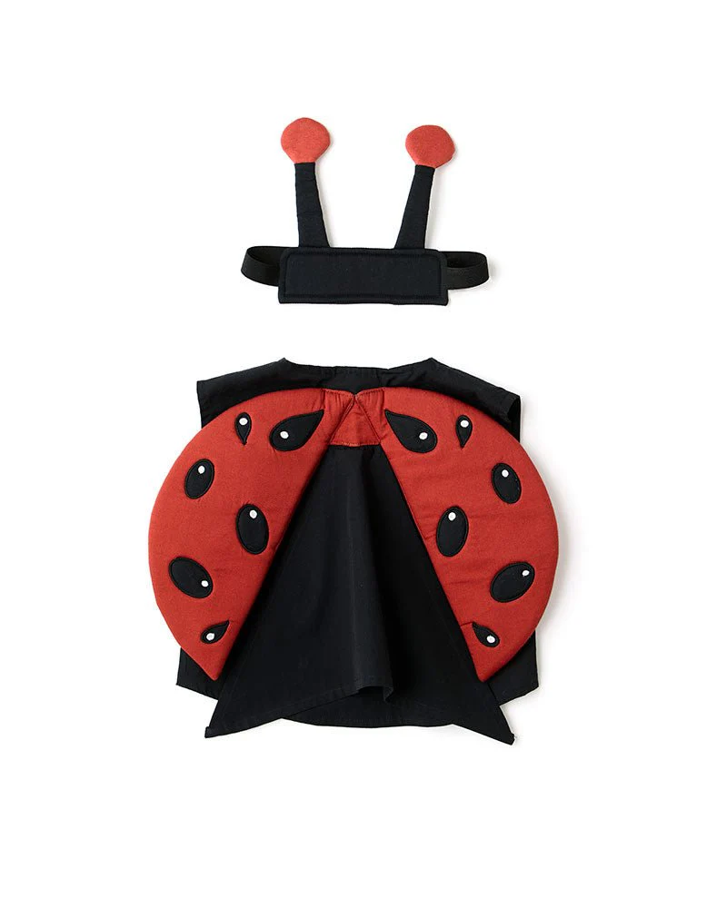 Lieveheersbeestje verkleedkleding - Image 2