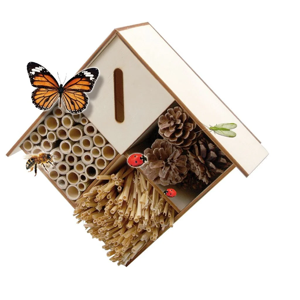 Miniatuur 2
